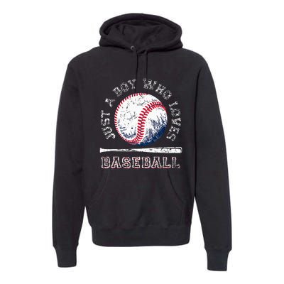 American Sport Fan Baseball Lover Batter Baseball Premium Hoodie