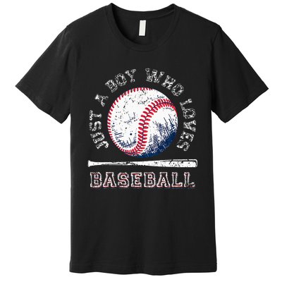 American Sport Fan Baseball Lover Batter Baseball Premium T-Shirt