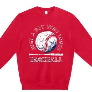 American Sport Fan Baseball Lover Batter Baseball Premium Crewneck Sweatshirt