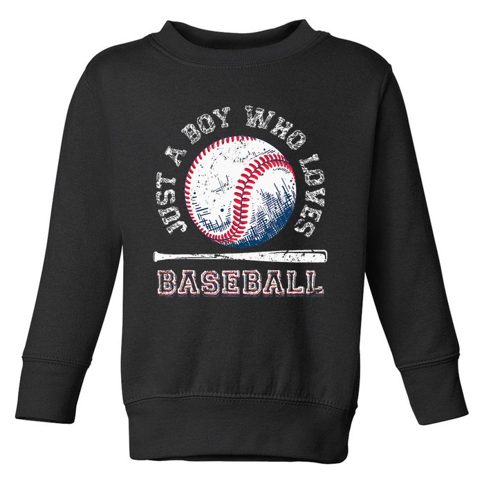 American Sport Fan Baseball Lover Batter Baseball Toddler Sweatshirt