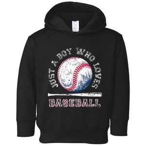 American Sport Fan Baseball Lover Batter Baseball Toddler Hoodie