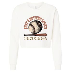 American Sport Fan Baseball Lover Batter Baseball Cropped Pullover Crew