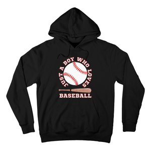 American Sport Fan Baseball Lover Batter Baseball Hoodie