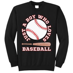 American Sport Fan Baseball Lover Batter Baseball Sweatshirt