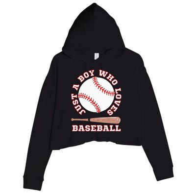 American Sport Fan Baseball Lover Batter Baseball Crop Fleece Hoodie