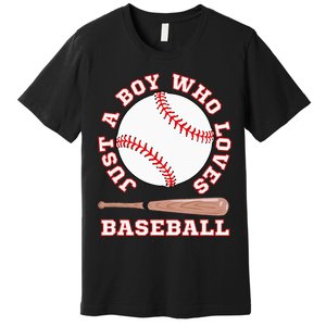 American Sport Fan Baseball Lover Batter Baseball Premium T-Shirt