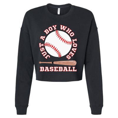 American Sport Fan Baseball Lover Batter Baseball Cropped Pullover Crew