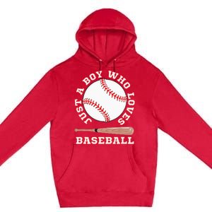 American Sport Fan Baseball Lover Batter Baseball Premium Pullover Hoodie