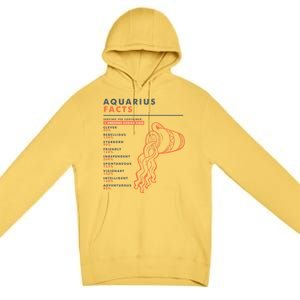 Aquarius Sign Facts Funny Zodiac Symbol Astrology Gift Cool Gift Premium Pullover Hoodie