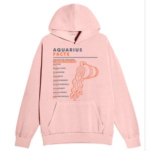 Aquarius Sign Facts Funny Zodiac Symbol Astrology Gift Cool Gift Urban Pullover Hoodie