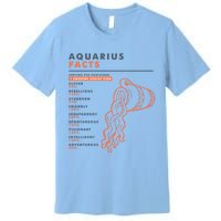 Aquarius Sign Facts Funny Zodiac Symbol Astrology Gift Cool Gift Premium T-Shirt