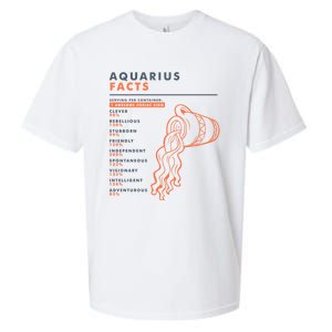 Aquarius Sign Facts Funny Zodiac Symbol Astrology Gift Cool Gift Sueded Cloud Jersey T-Shirt