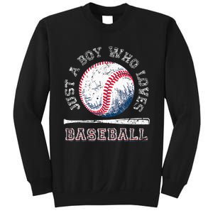 American Sport Fan Baseball Lover Batter Baseball Sweatshirt