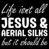 Aerial Silks for or Women I Love Aerial Silks Hobby Womens Tank Top
