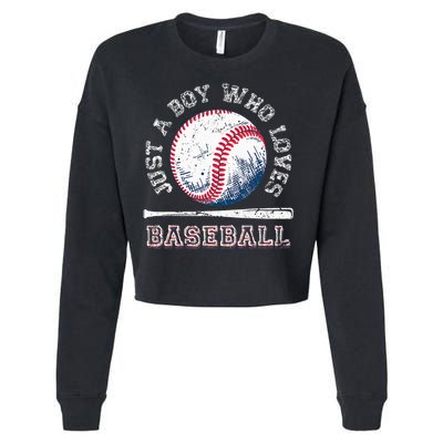 American Sport Fan Baseball Lover Batter Baseball Cropped Pullover Crew