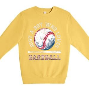 American Sport Fan Baseball Lover Boy Batter Baseball Gift For Player Premium Crewneck Sweatshirt