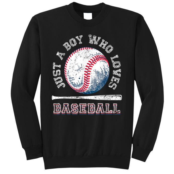 American Sport Fan Baseball Lover Boy Batter Baseball Gift For Player Sweatshirt