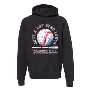 American Sport Fan Baseball Lover Boy Batter Baseball Gift For Player Premium Hoodie