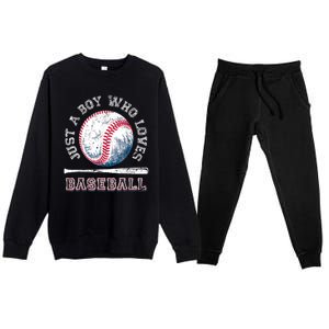 American Sport Fan Baseball Lover Boy Batter Baseball Gift For Player Premium Crewneck Sweatsuit Set