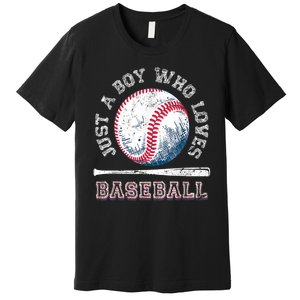 American Sport Fan Baseball Lover Boy Batter Baseball Gift For Player Premium T-Shirt