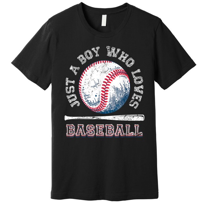 American Sport Fan Baseball Lover Boy Batter Baseball Gift For Player Premium T-Shirt