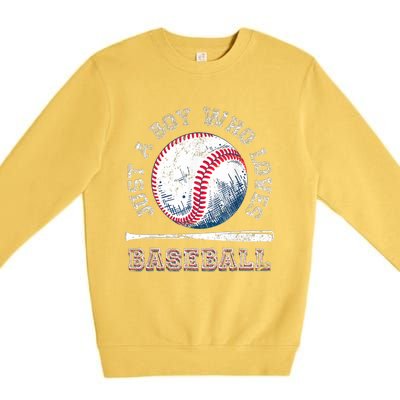 American Sport Fan Baseball Lover Boy Batter Baseball Premium Crewneck Sweatshirt