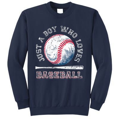 American Sport Fan Baseball Lover Boy Batter Baseball Sweatshirt