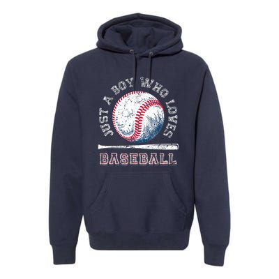 American Sport Fan Baseball Lover Boy Batter Baseball Premium Hoodie