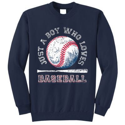 American Sport Fan Baseball Lover Boy Batter Baseball Tall Sweatshirt