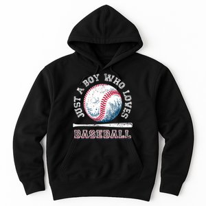 American Sport Fan Baseball Lover Boy Batter Baseball Hoodie