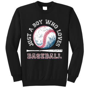 American Sport Fan Baseball Lover Boy Batter Baseball Sweatshirt