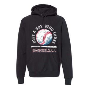 American Sport Fan Baseball Lover Boy Batter Baseball Premium Hoodie