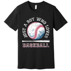 American Sport Fan Baseball Lover Boy Batter Baseball Premium T-Shirt