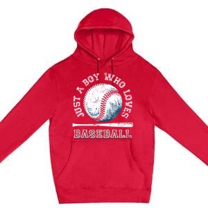 American Sport Fan Baseball Lover Boy Batter Baseball Premium Pullover Hoodie