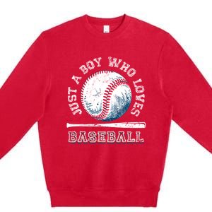 American Sport Fan Baseball Lover Boy Batter Baseball Premium Crewneck Sweatshirt