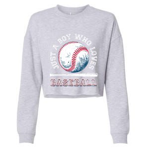 American Sport Fan Baseball Lover Batter Baseball Cute Gift Cropped Pullover Crew