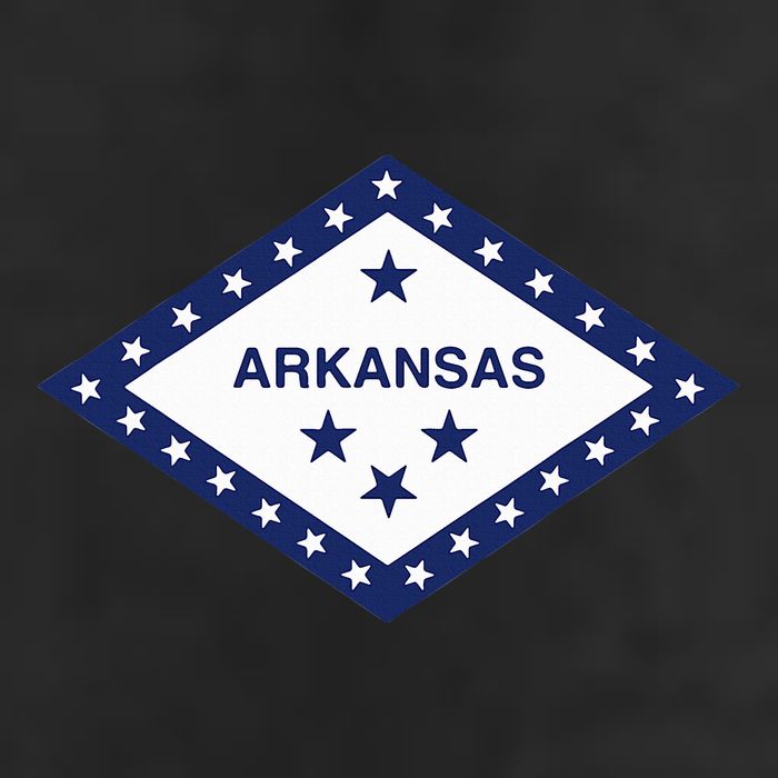 Arkansas State Flag Adult Drive Performance Visor