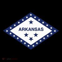 Arkansas State Flag Kids T-Shirt