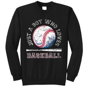 American Sport Fan Baseball Lover Batter Baseball Tall Sweatshirt