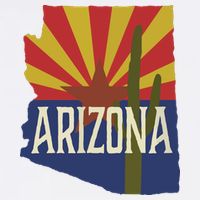 Arizona State Flag Saguaro Kids Hoodie