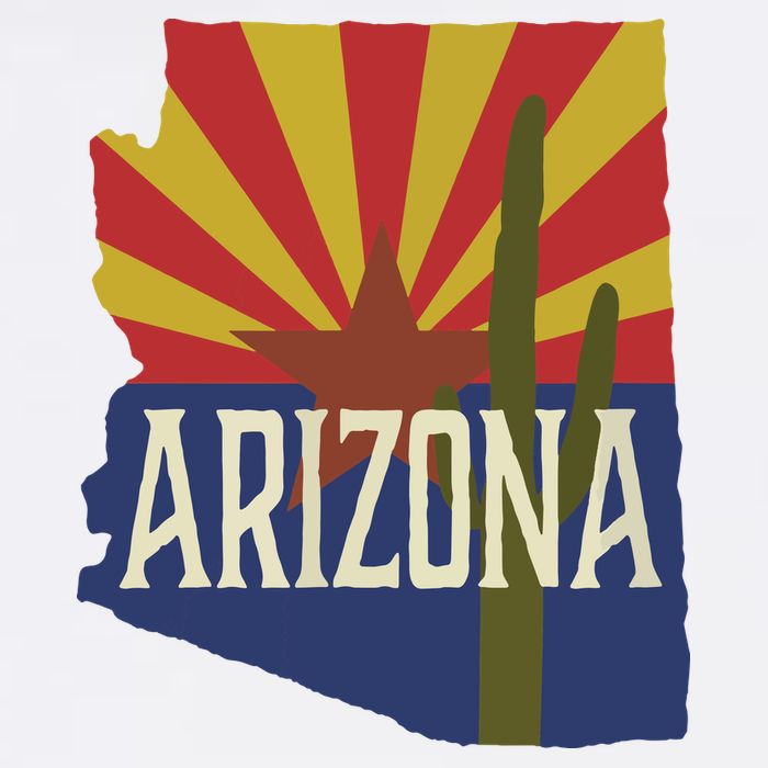 Arizona State Flag Saguaro Kids Hoodie
