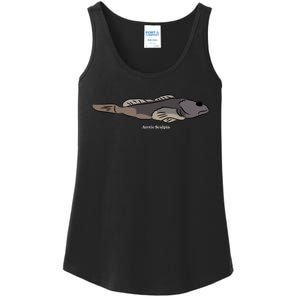 Arctic Sculpin Freshwater Fish Ladies Essential Tank