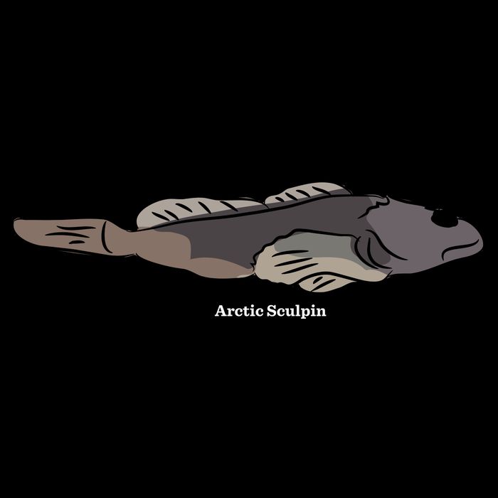 Arctic Sculpin Freshwater Fish Flatbill Hat