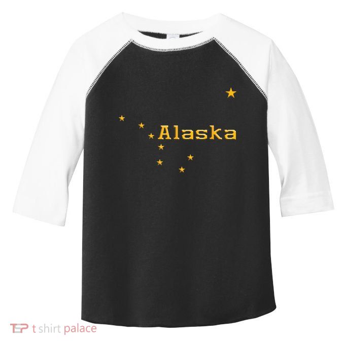 Alaska State Flag Astrology Big Dipper Polaris Toddler Fine Jersey T-Shirt