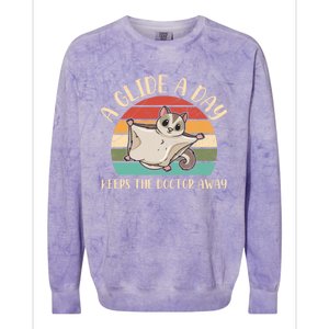 Australian Sugar Glider Design Sugar Glider Owner Gift Colorblast Crewneck Sweatshirt