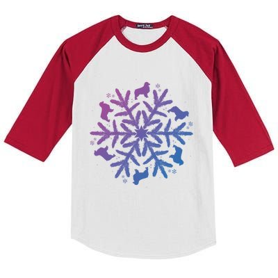 Australian Shepherd Great Gift Christmas Snowflake Funny Gift Kids Colorblock Raglan Jersey