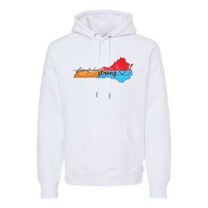 Appalachia Strong Hurricane Helene Virginia Premium Hoodie