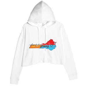 Appalachia Strong Hurricane Helene Virginia Crop Fleece Hoodie