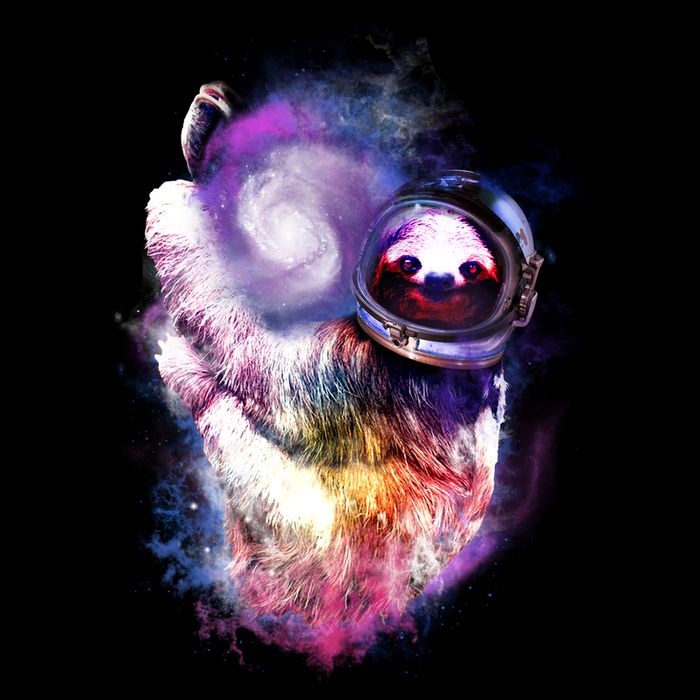 Astronaut Sloth In Space Flat Bill Trucker Hat