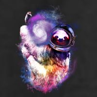 Astronaut Sloth In Space 25L Jumbo Tote